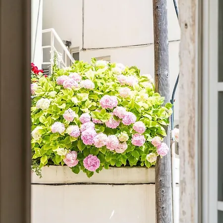 Old Town Historical Residence Dubrovnik Exterior photo