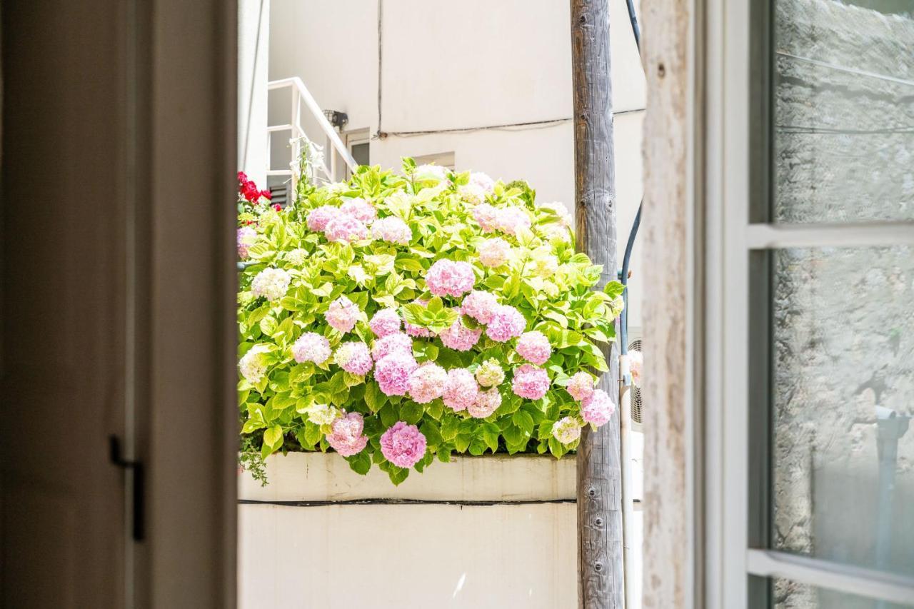 Old Town Historical Apartament
